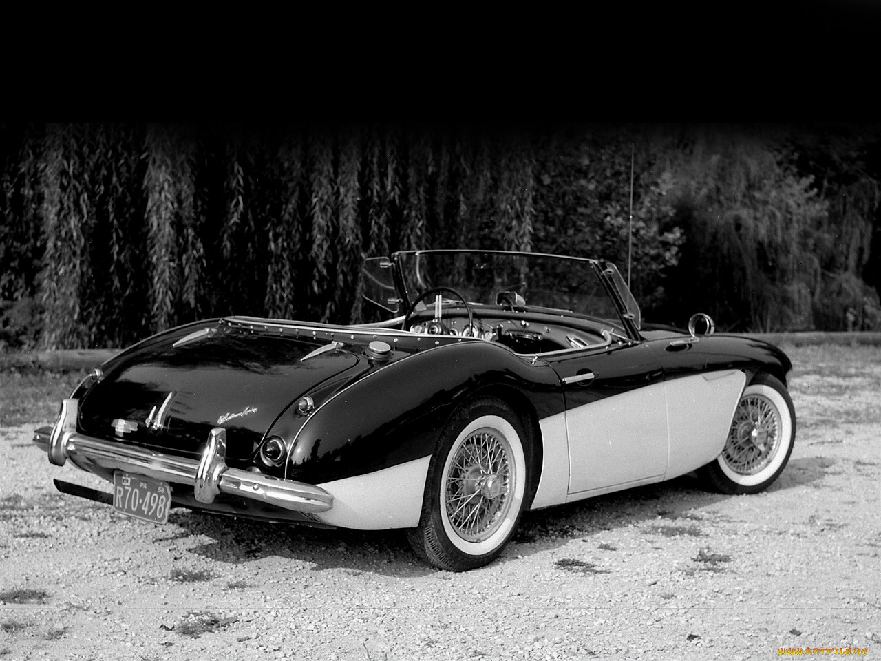 , austin, healy